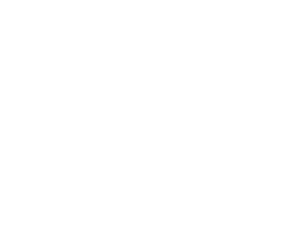 Peak Cleanup Junk Removal